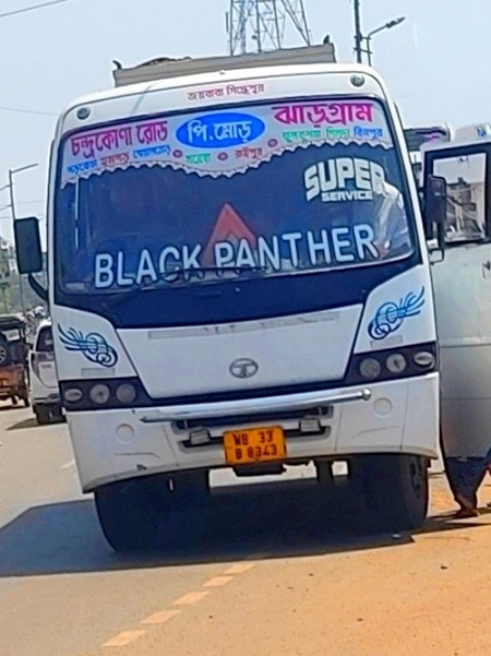 BLACK PANTHER