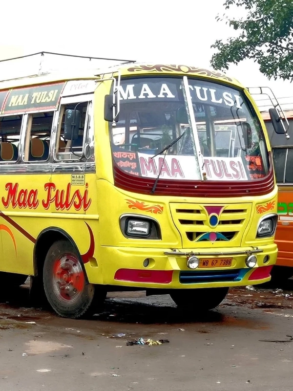 MAA TULSI
