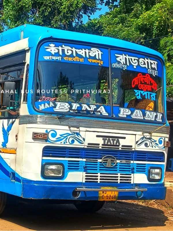 MAA BINAPANI
